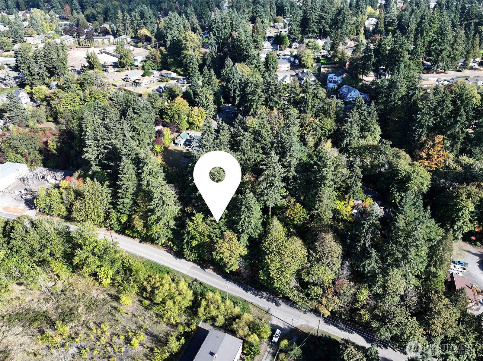 a view of a garden with a tree