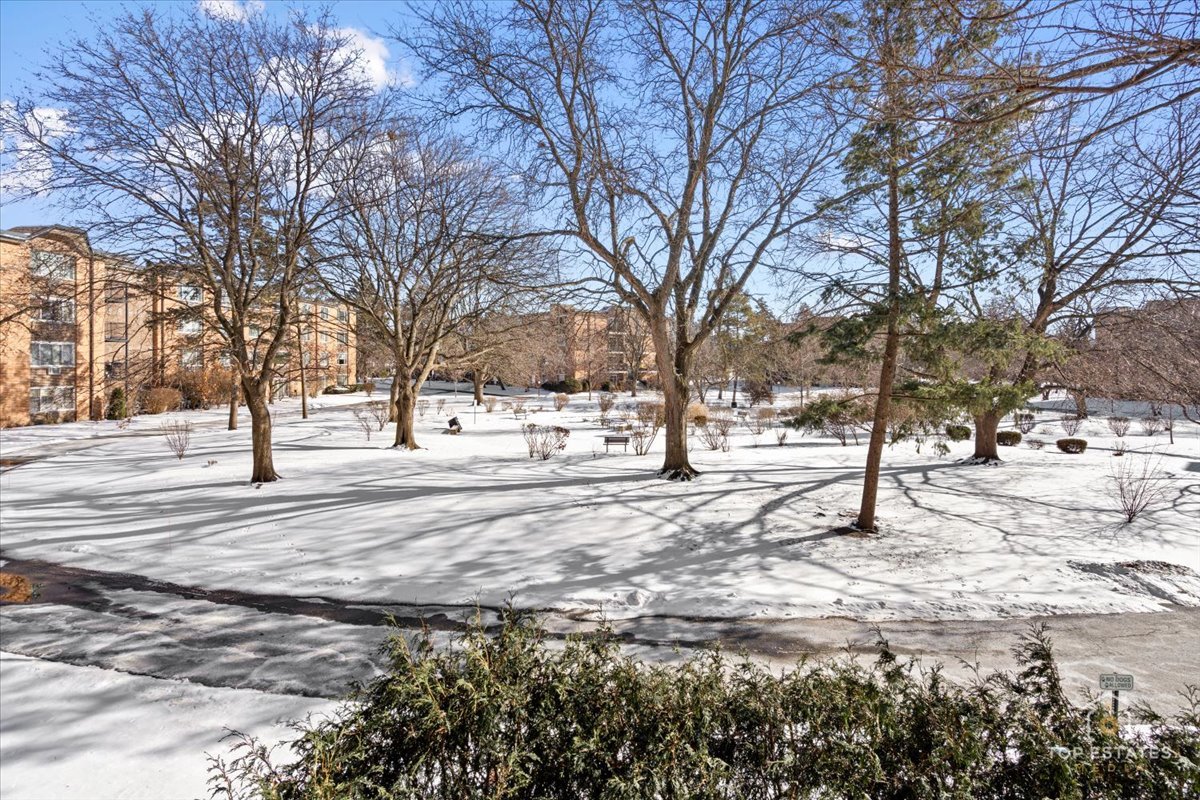 1107 South Old Wilke Road, Unit 208 Rolling Meadows, IL 60005 - Photo 34 of 43