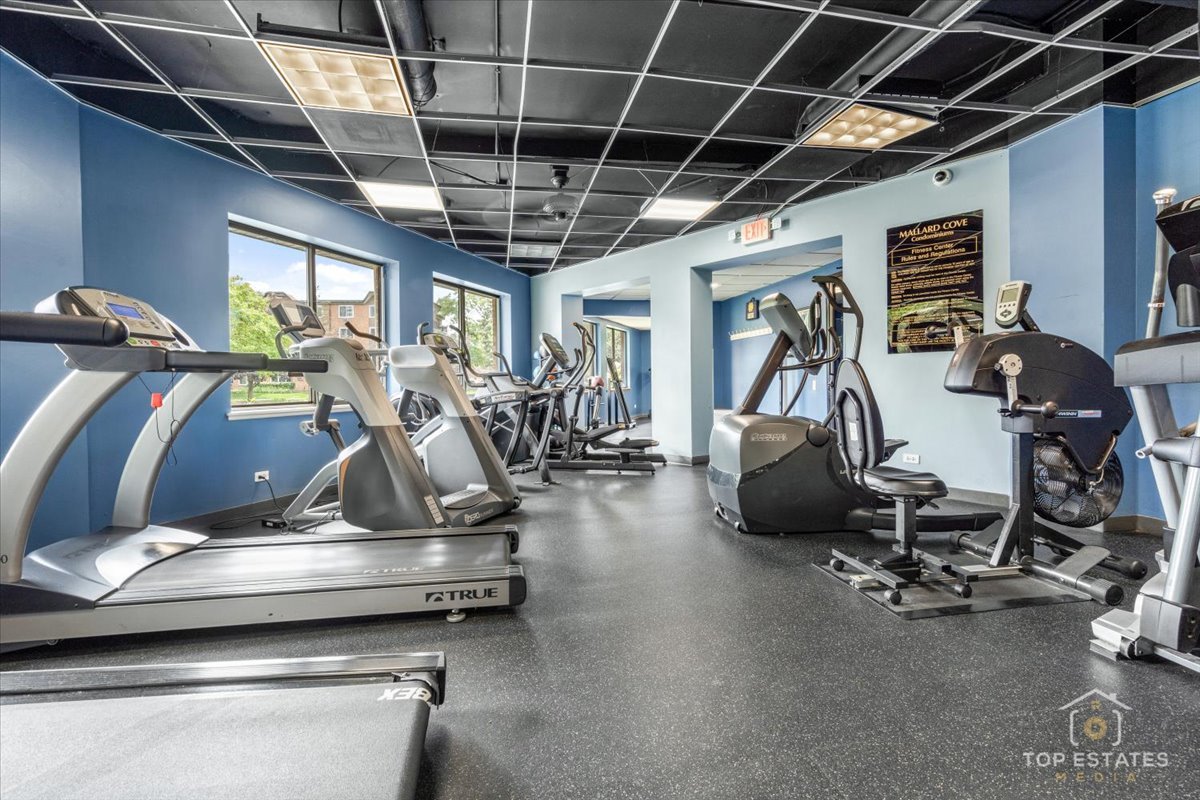 1107 South Old Wilke Road, Unit 208 Rolling Meadows, IL 60005 - Photo 38 of 43 a view of a room with gym equipment