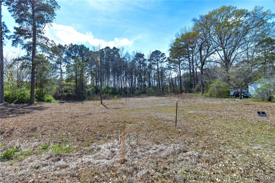 595 Shaw Road St. Pauls, NC 28384 - Photo 3 of 9 a view of a backyard