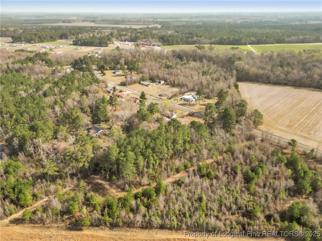 595 Shaw Road St. Pauls, NC 28384 - Photo 6 of 9 an aerial view of residential houses with outdoor space