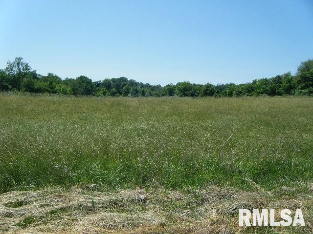 1340 Boyd Road Anna, IL 62906 - Photo 1 of 1 Gallery Image 1