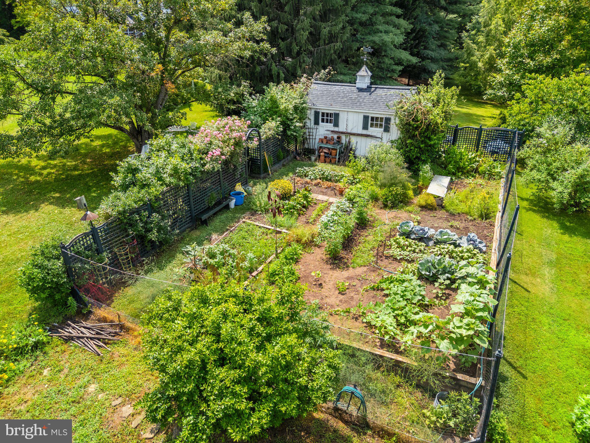 23358 Dover Road Middleburg, VA 20117 - Photo 40 of 41 Fenced in vegetable & cutting garden w/shed at end