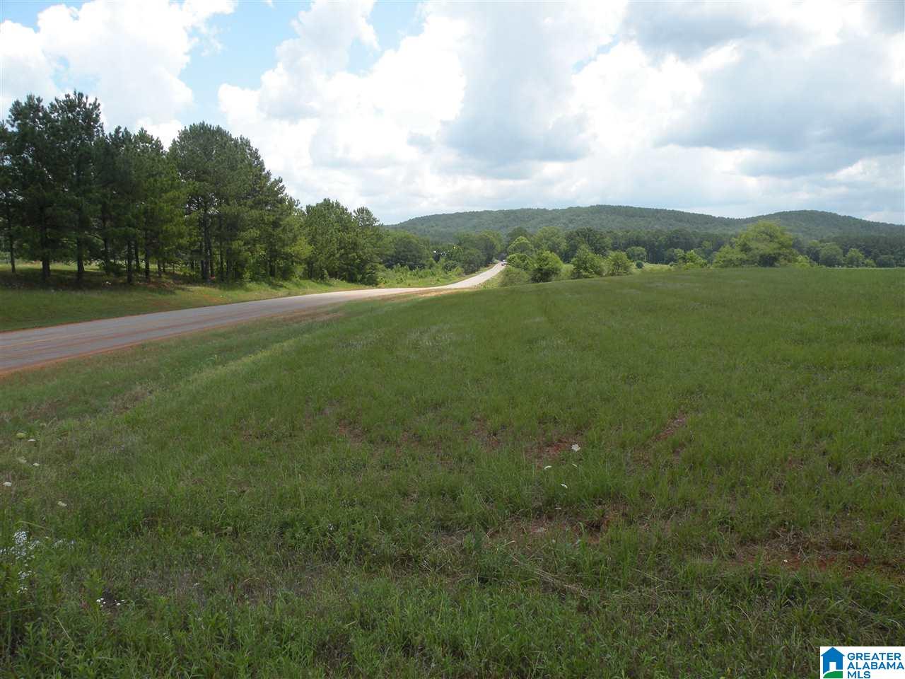 8215 Plant Road Alpine, AL 35014 - Photo 38 of 48 Gallery Image 38