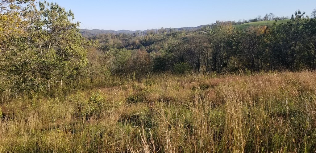 1 Swan Ridge Road Celina, TN 38551 - Photo 11 of 35