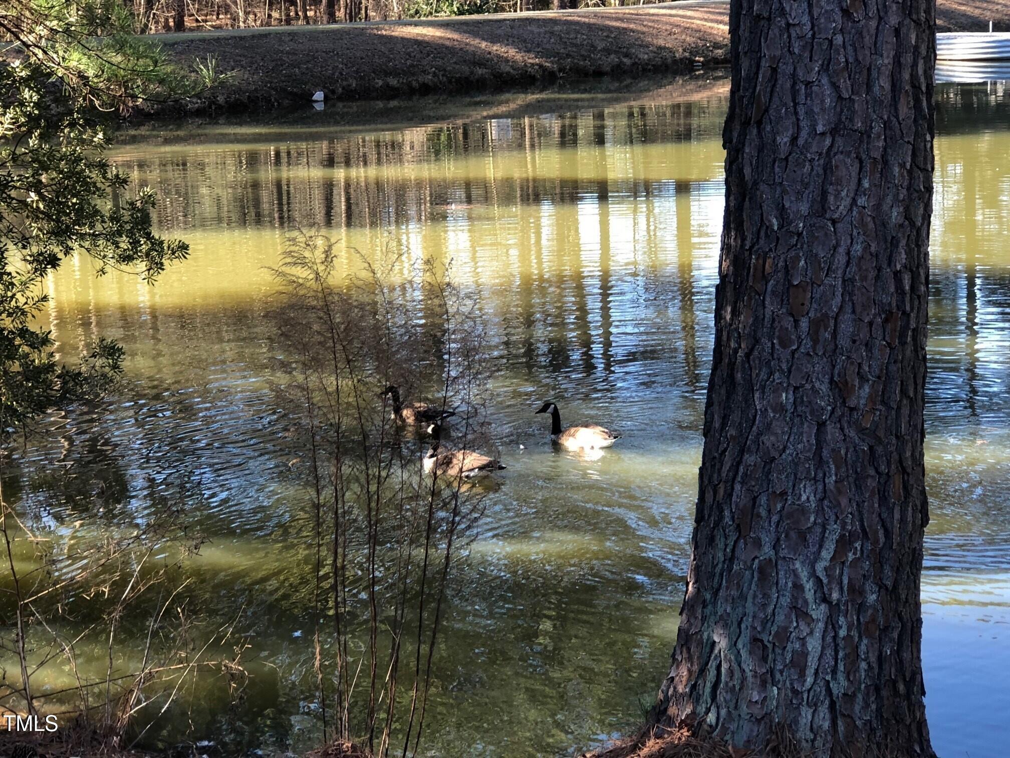 223 Shalimar Drive Durham, NC 27713 - Photo 30 of 31 Water view Shalimar