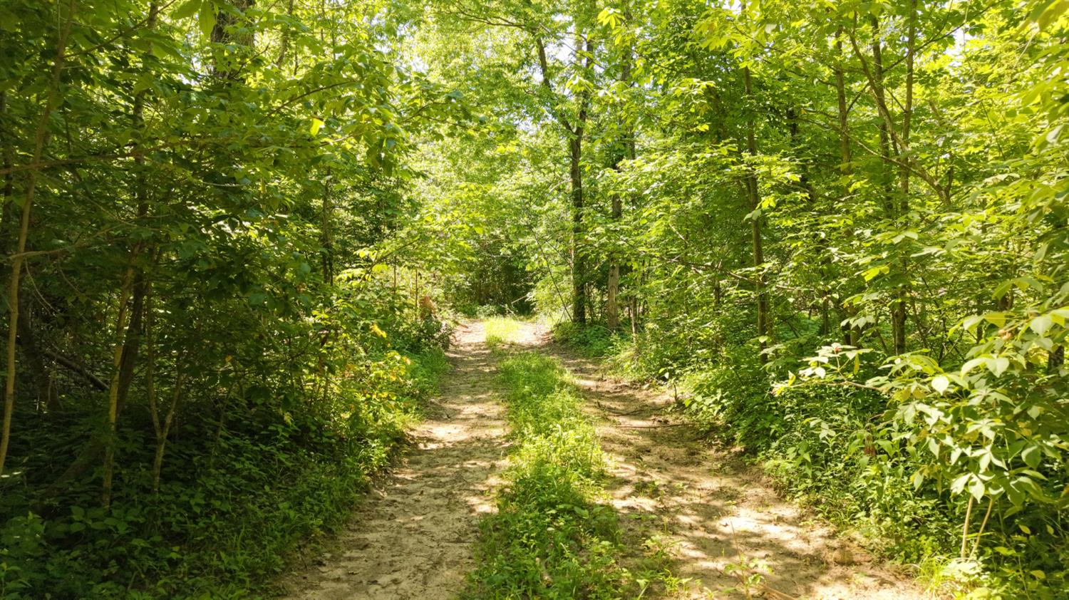 0 Co Road Versailles, IN 47042 - Photo 10 of 15