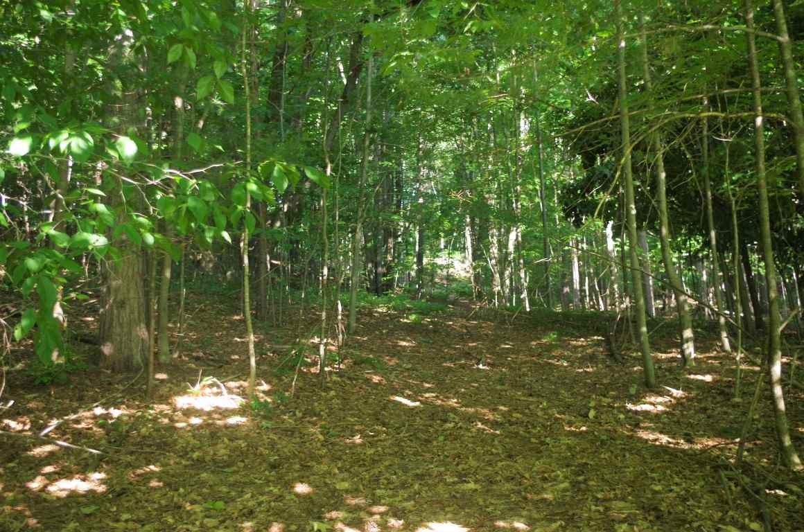 3946 Rushton Road Central Lake, MI 49622 - Photo 23 of 30 1865343-22.JPG