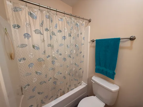 a white toilet sitting next to a shower curtain