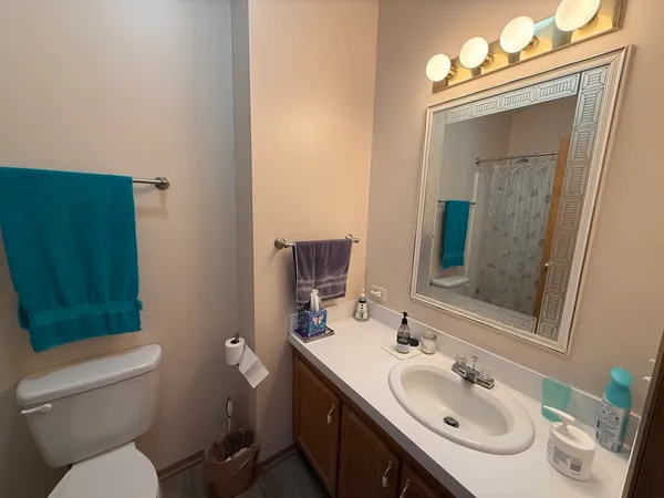 a bathroom with a toilet a sink and mirror