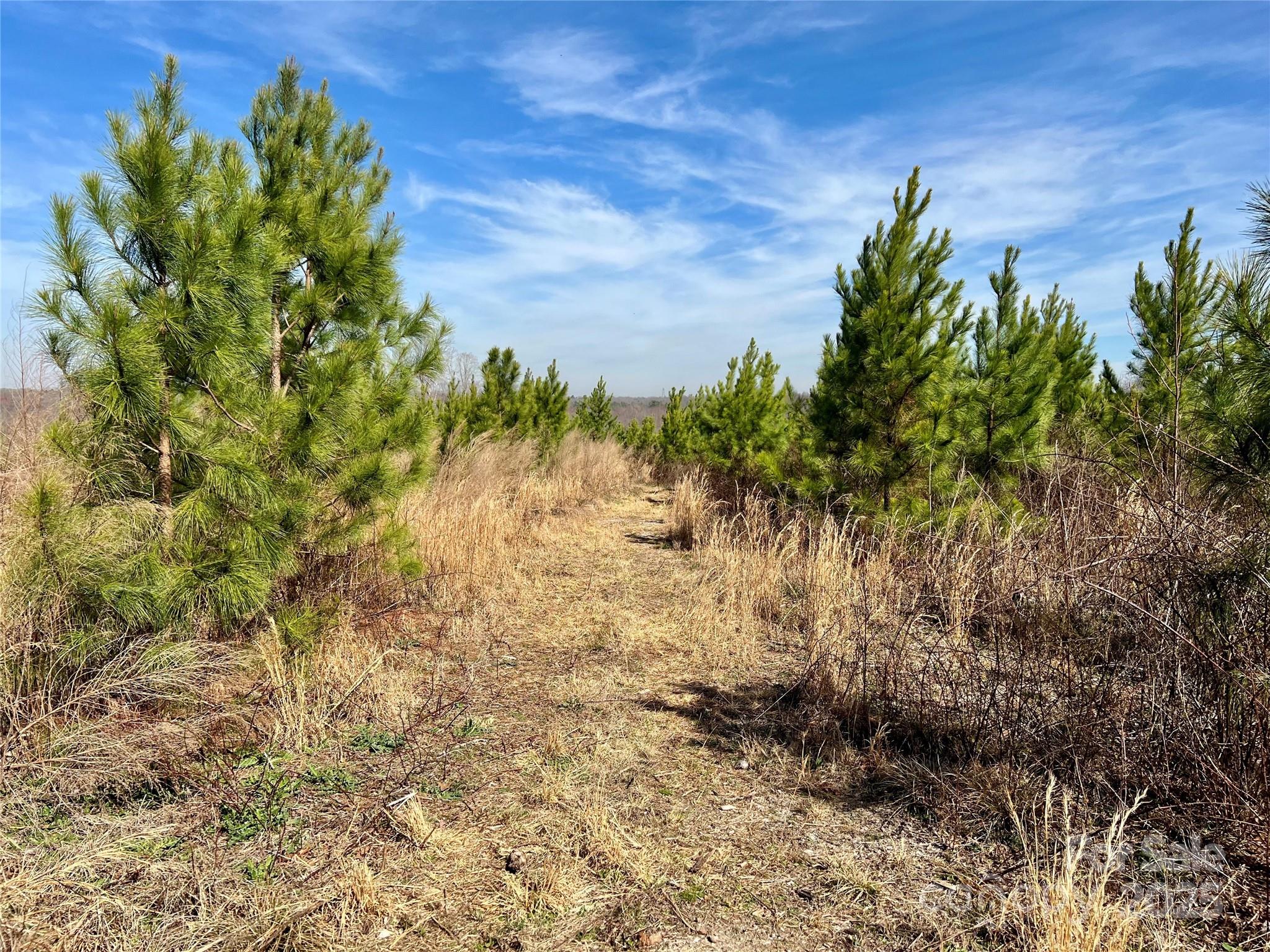 0 Gary Beam Road Kings Mountain, NC 28086 - Photo 2 of 15 a view of a garden with a tree