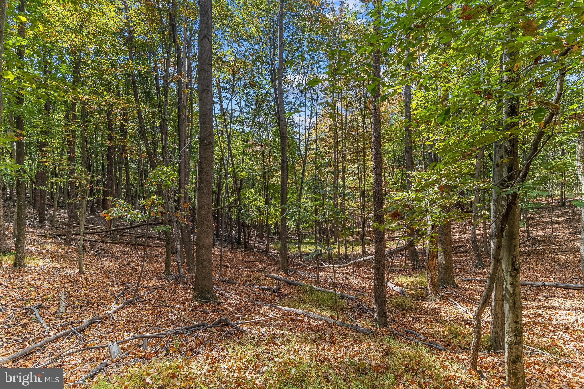 33 Maple Lane Berkeley Springs, WV 25411 - Photo 21 of 34