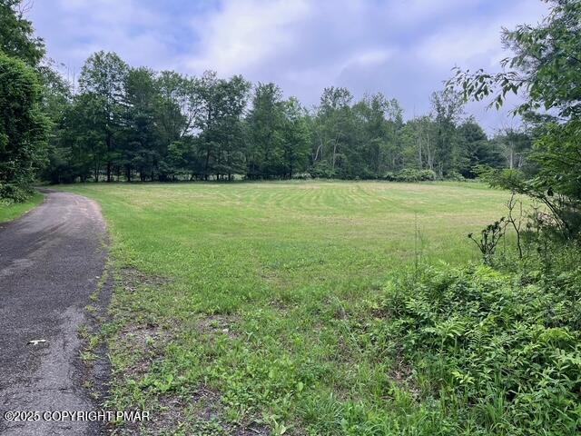 1163 Bush Road Cresco, PA 18326 - Photo 3 of 4 IMG_0687