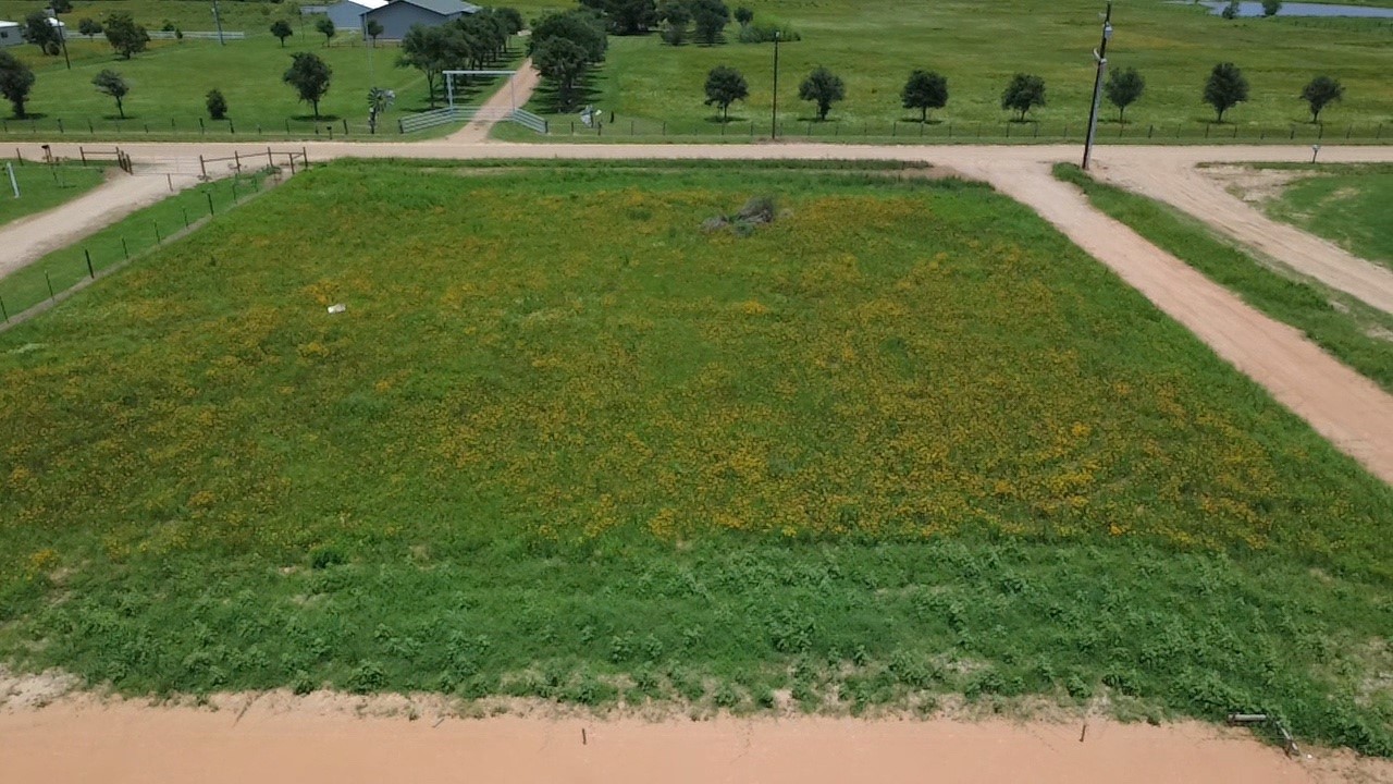 2995 Meier Road Sealy, TX 77474 - Photo 6 of 9