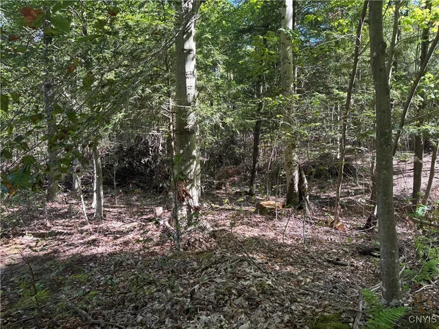 $108,000 | 3650 Highway 69, Annsville, NY 13471