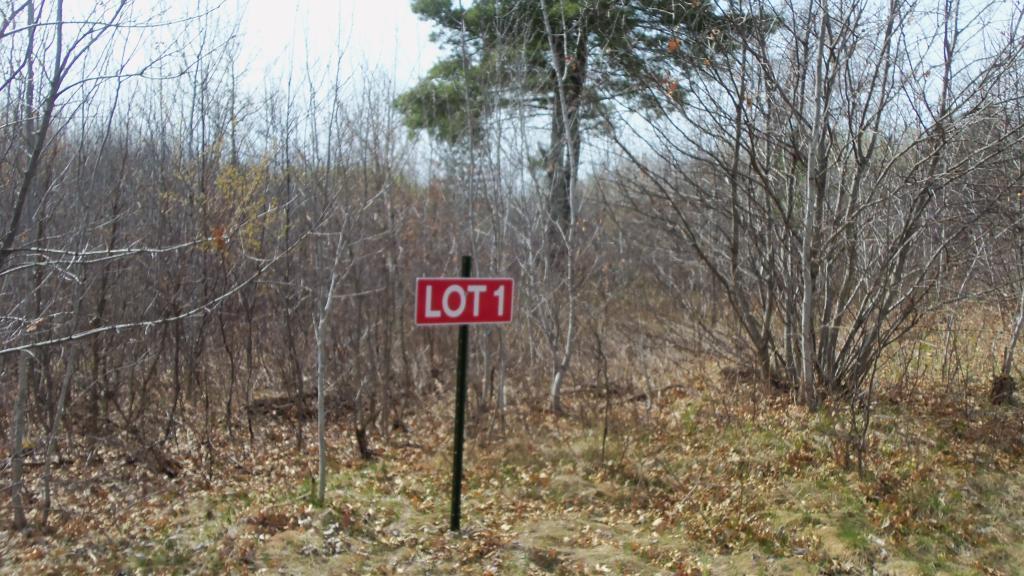 Lot 1 Minerva Dam Road Danbury, WI 54830 - Photo 1 of 1 Gallery Image 1