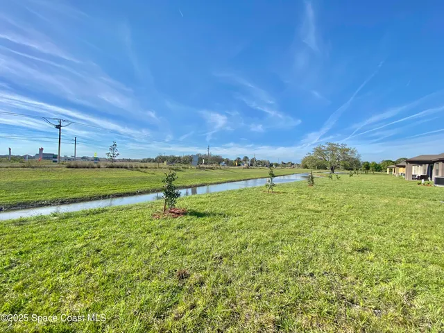 a view of a field with an trees