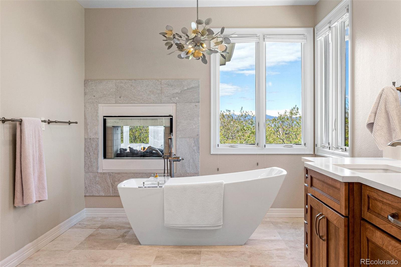 1127 Jesse Court Highlands Ranch, CO 80126 - Photo 23 of 48