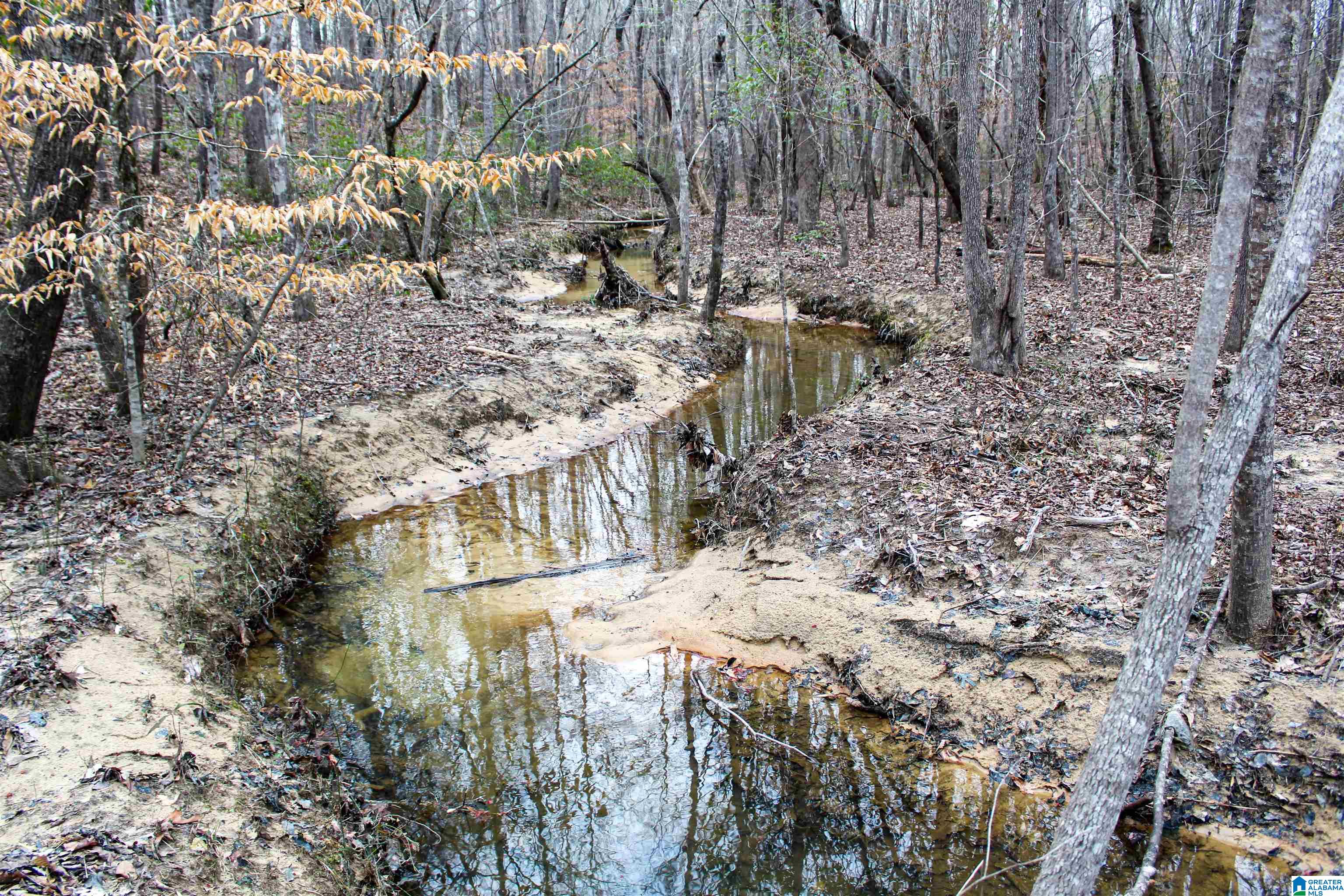 339 County Road Nauvoo, AL 35578 - Photo 11 of 57
