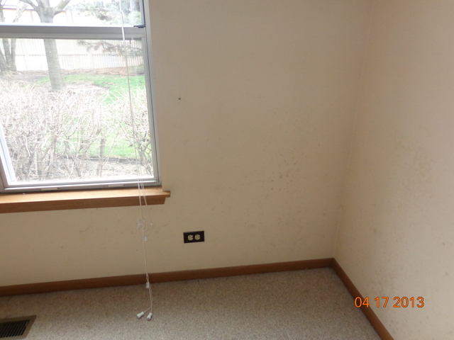 1315 Coldspring Road, Unit 1315 Carol Stream, IL 60188 - Photo 12 of 16