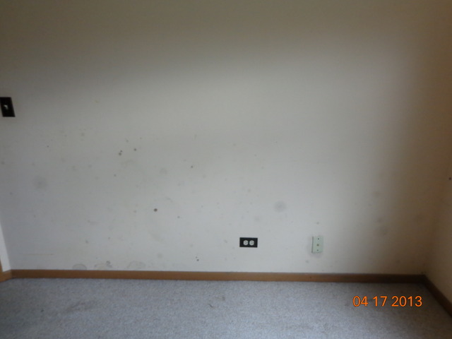 1315 Coldspring Road, Unit 1315 Carol Stream, IL 60188 - Photo 13 of 16