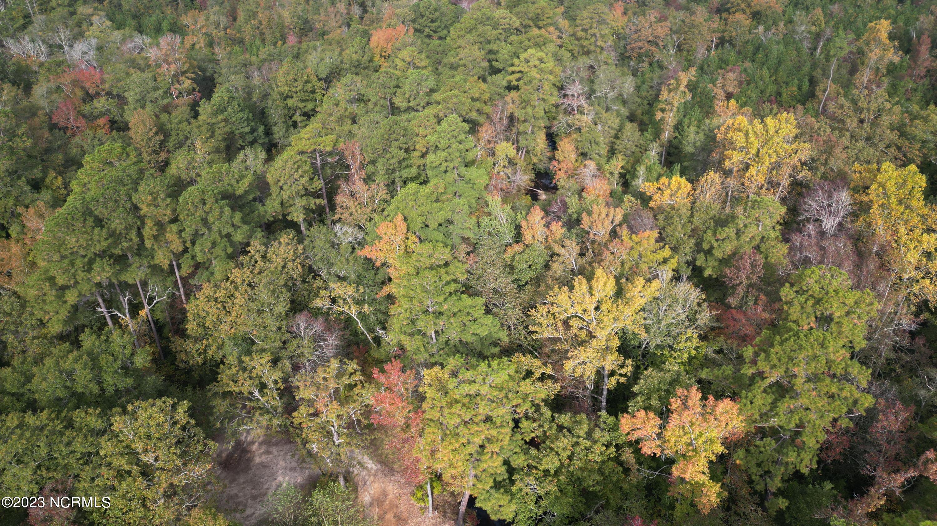18.33-acre McPherson Road Vass, NC 28394 - Photo 7 of 39 DJI_0073