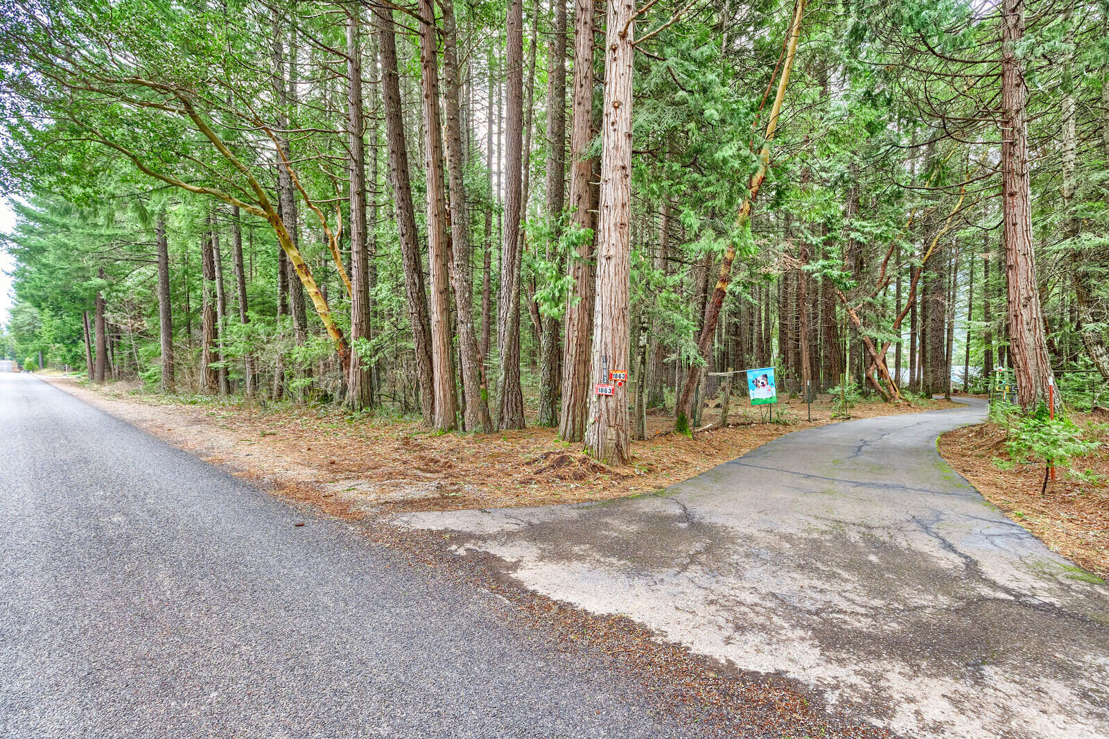 1863 Mill Creek Drive Prospect, OR 97536 - Photo 40 of 53 1863MillCrkDr (6)