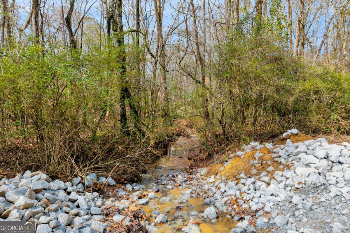 0 Cook Road, Unit LOT 26 Oxford, GA 30054 - Photo 10 of 11 a view of a yard with plants and trees
