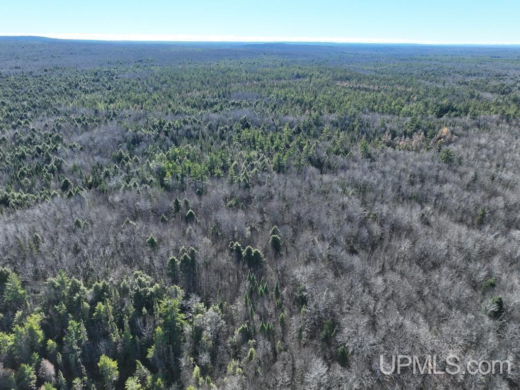 0 North Point Road Au Train, MI 49806 - Photo 11 of 20