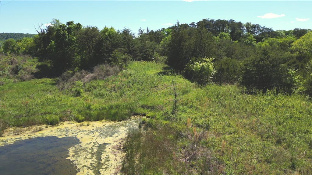44 Rocky Valley Road New Market, TN 37820 - Photo 47 of 49 Gallery Image 47