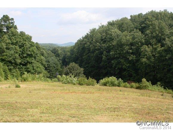 900 Thompson Road Saluda, NC 28773 - Photo 14 of 15 Gallery Image 14