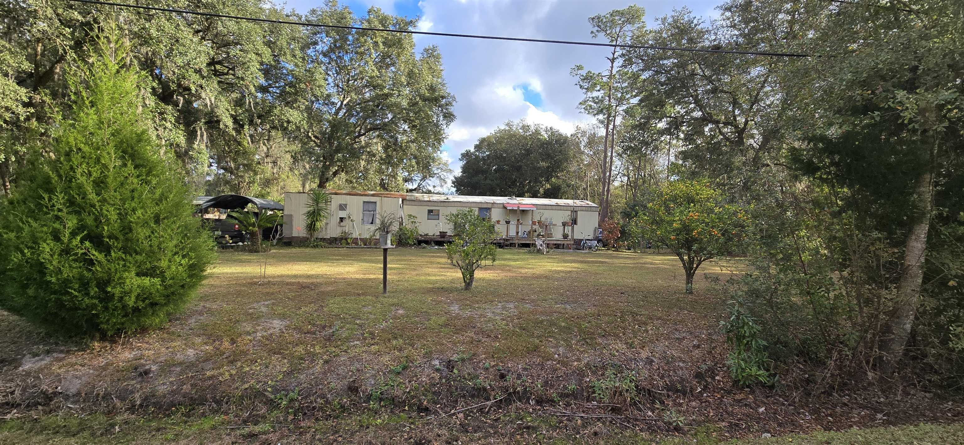 a view of a yard with a tree