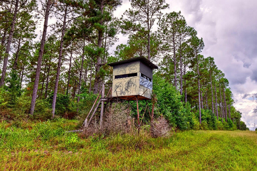 552 Yawn School Road Lumberton, MS 39455 - Photo 27 of 36 Gallery Image 27