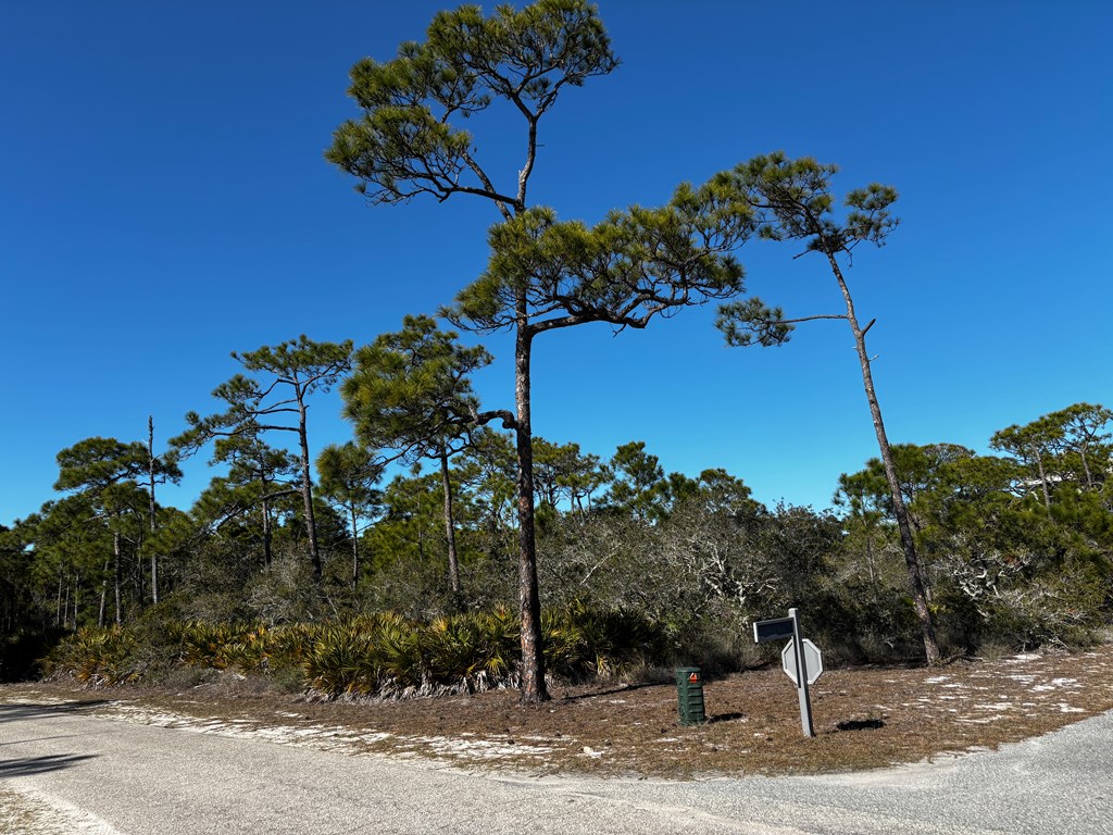 2000 Pelican Way St. George Island, FL 32328 - Photo 3 of 19