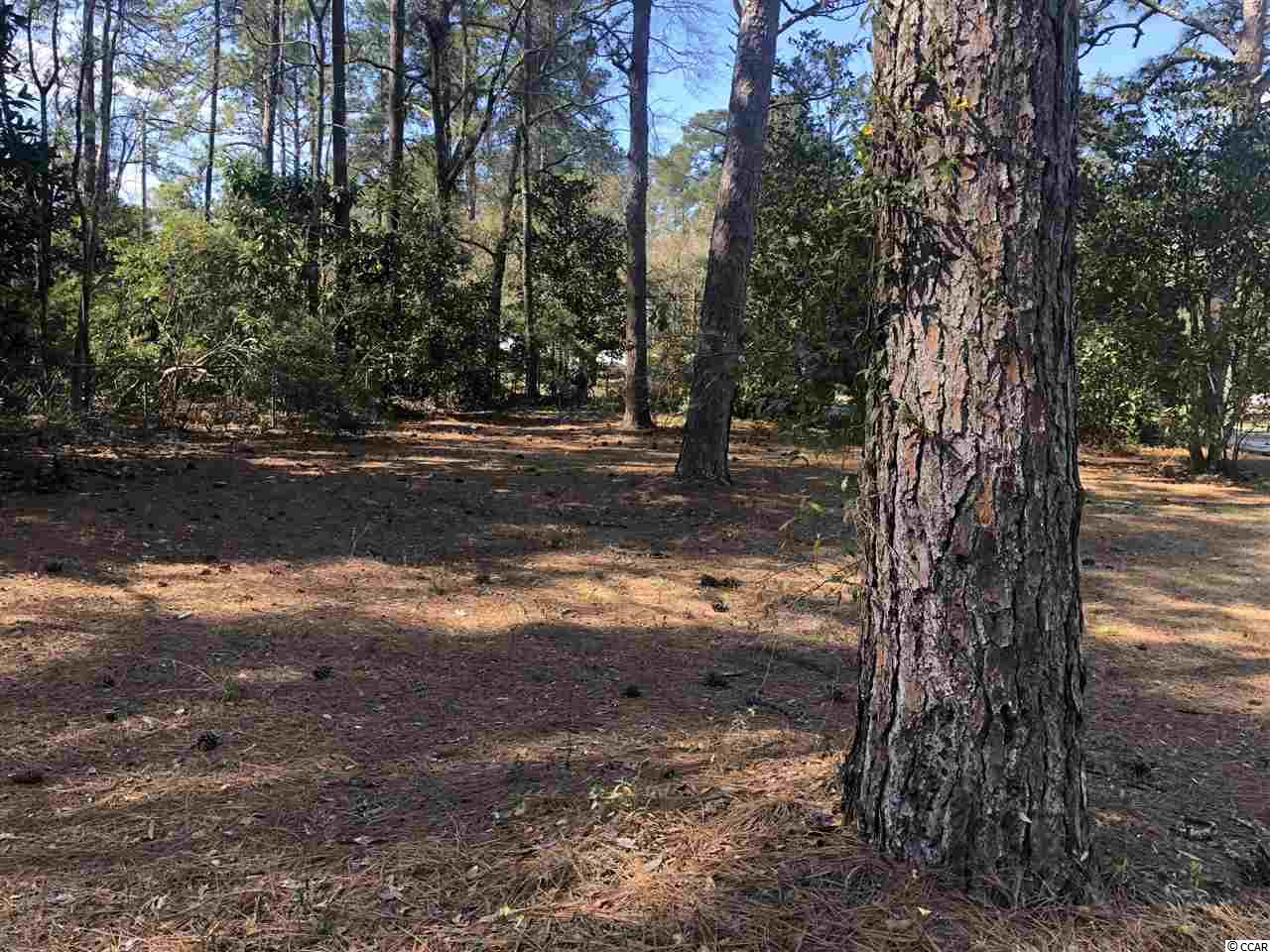 1068 Causey Road Conway, SC 29526 - Photo 14 of 24 Gallery Image 14