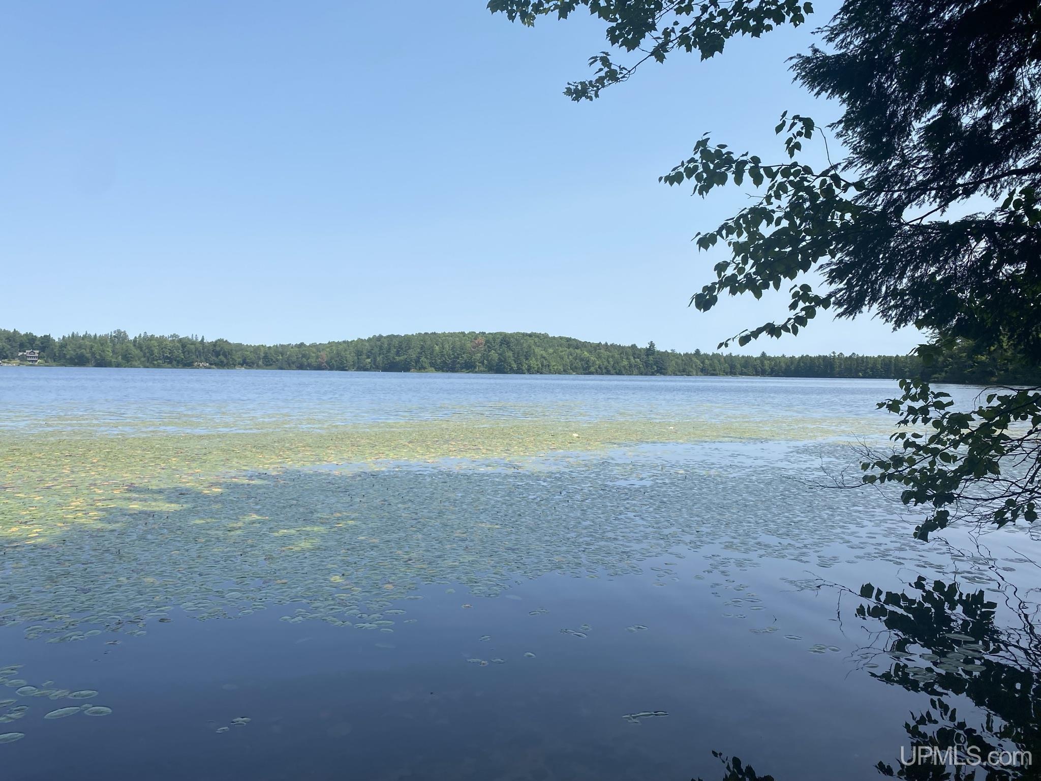 Tbd Tbd En-a-wen-da-win Road Watersmeet, MI 49969 - Photo 3 of 35