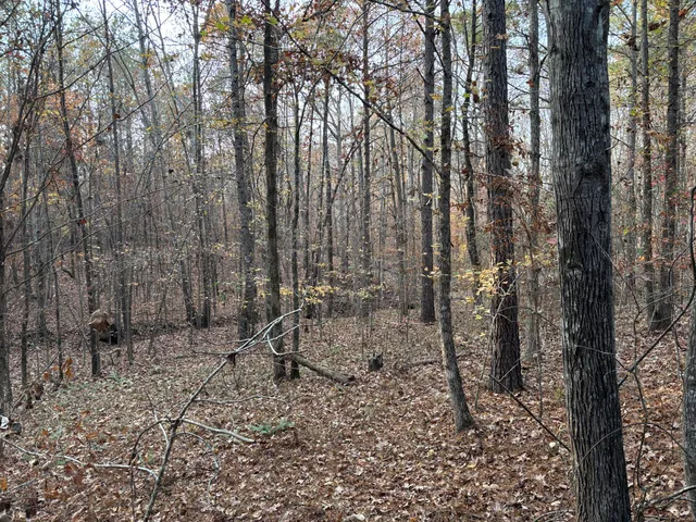 $39,900 | Lot 51 Willow Way, Lincolnton, GA 30817
