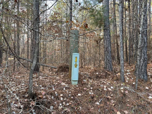 $39,900 | Lot 51 Willow Way, Lincolnton, GA 30817