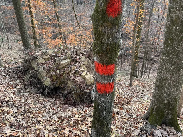 $39,900 | Lot 51 Willow Way, Lincolnton, GA 30817