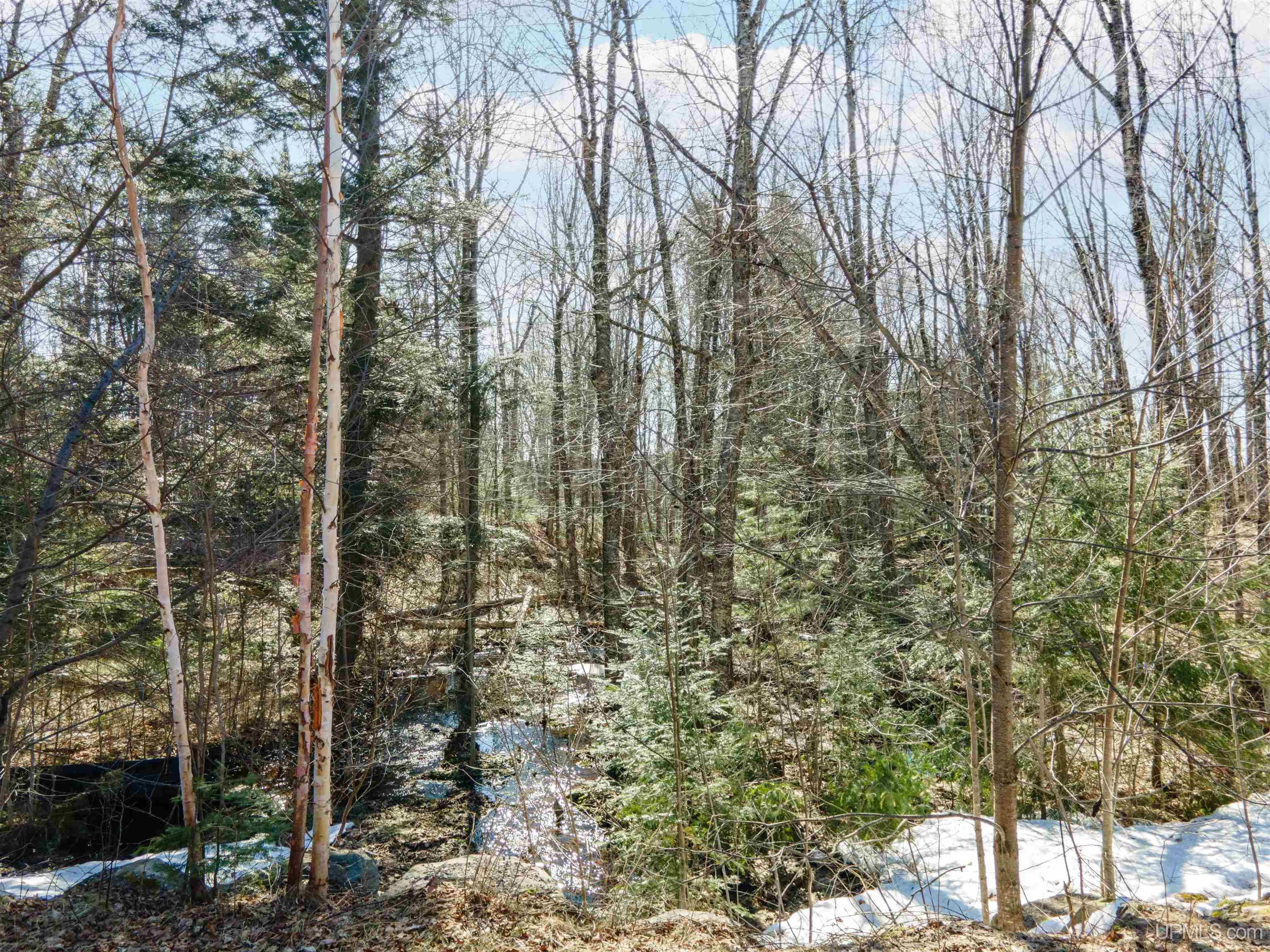 Tamarack Lk Road Watersmeet, MI 49969 - Photo 6 of 9