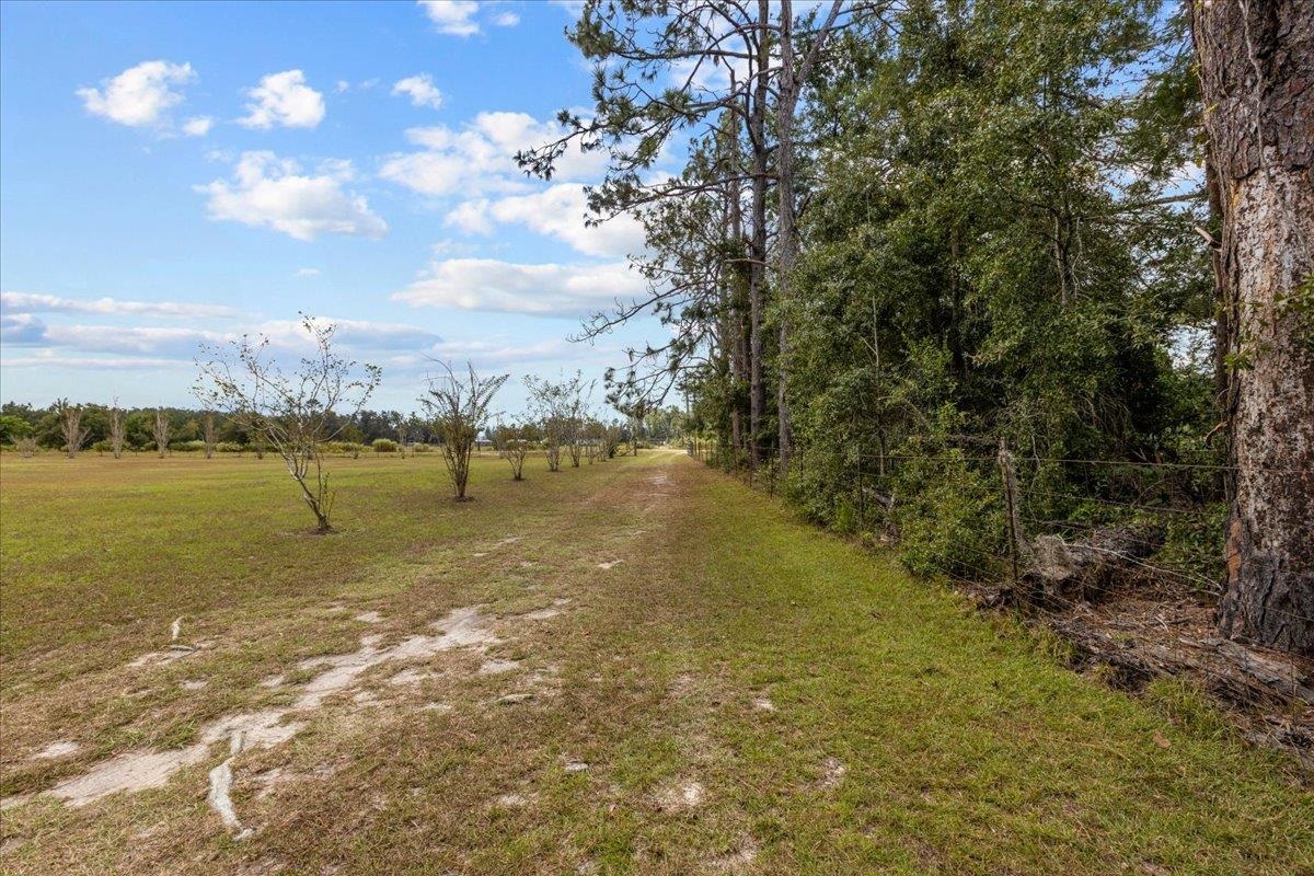 391 Northeast Fir Street Pinetta, FL 32350 - Photo 28 of 31
