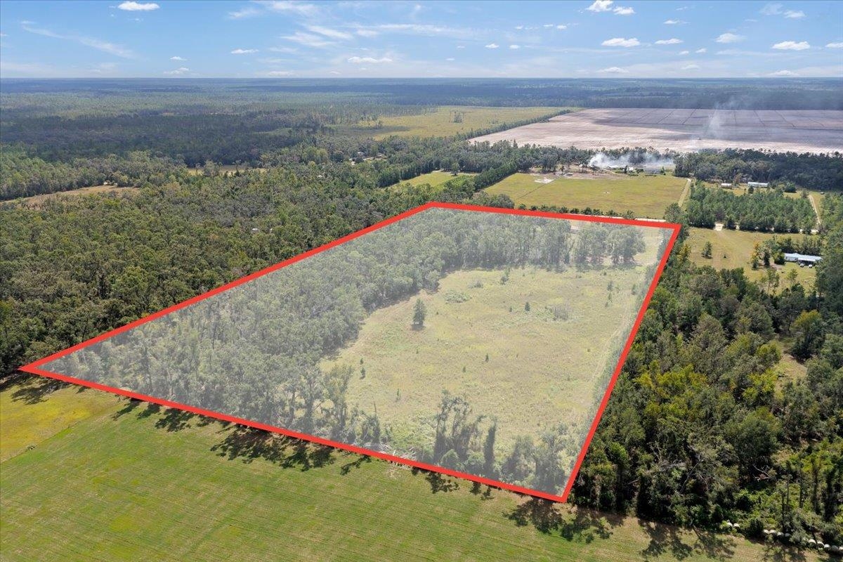 391 Northeast Fir Street Pinetta, FL 32350 - Photo 29 of 31