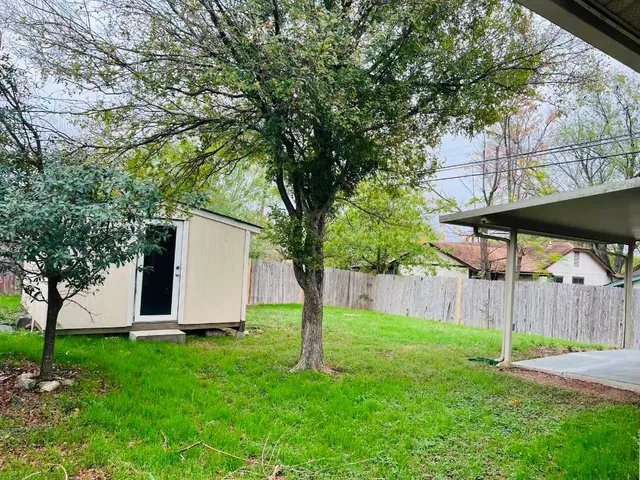 a view of a backyard with large tree