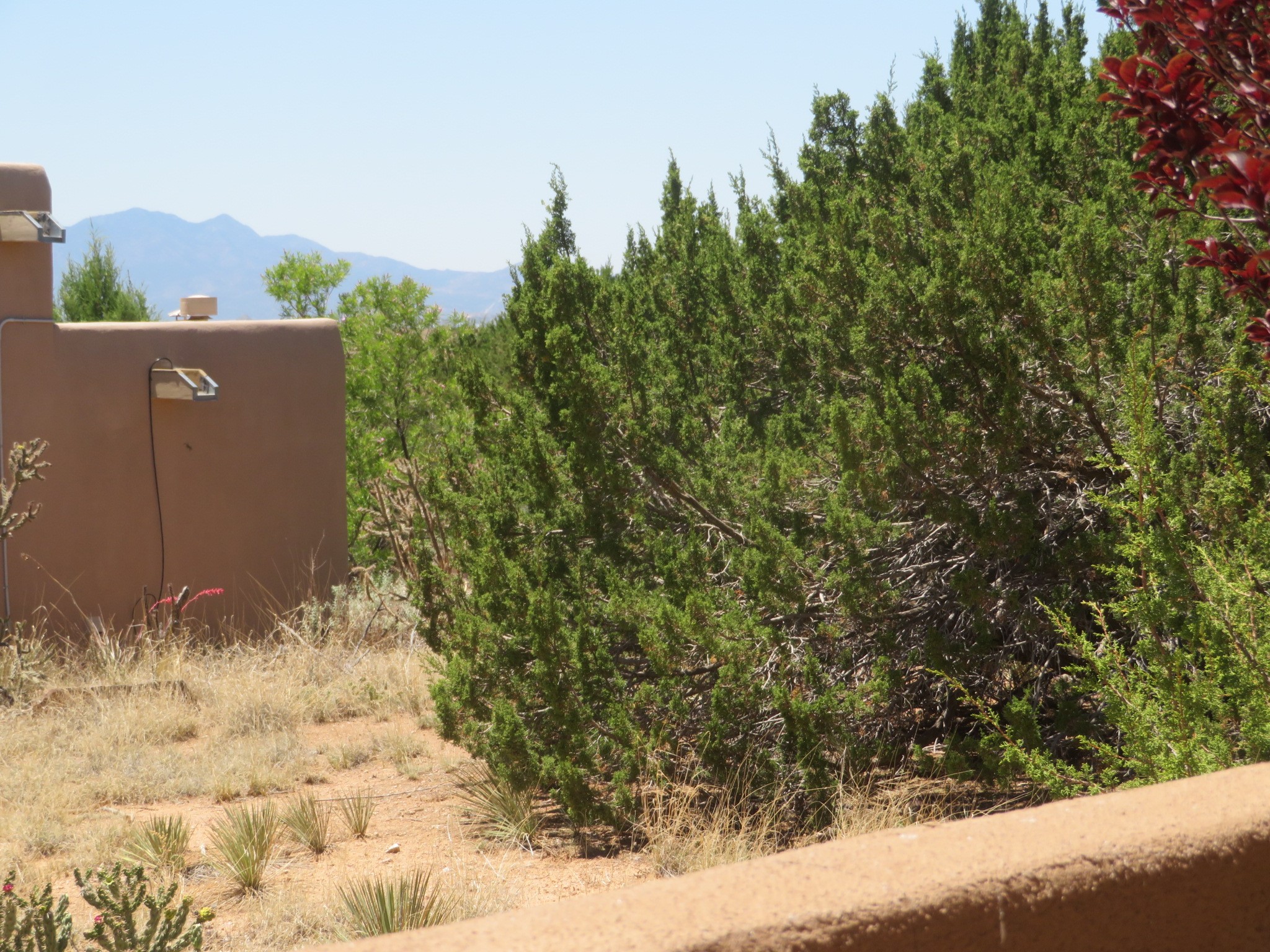 92 Canada Del Rancho Santa Fe, NM 87508 - Photo 9 of 10