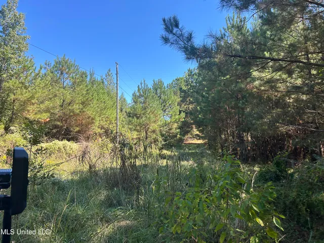 $1,328,800 | Causeyville Road, Meridian, MS 39301