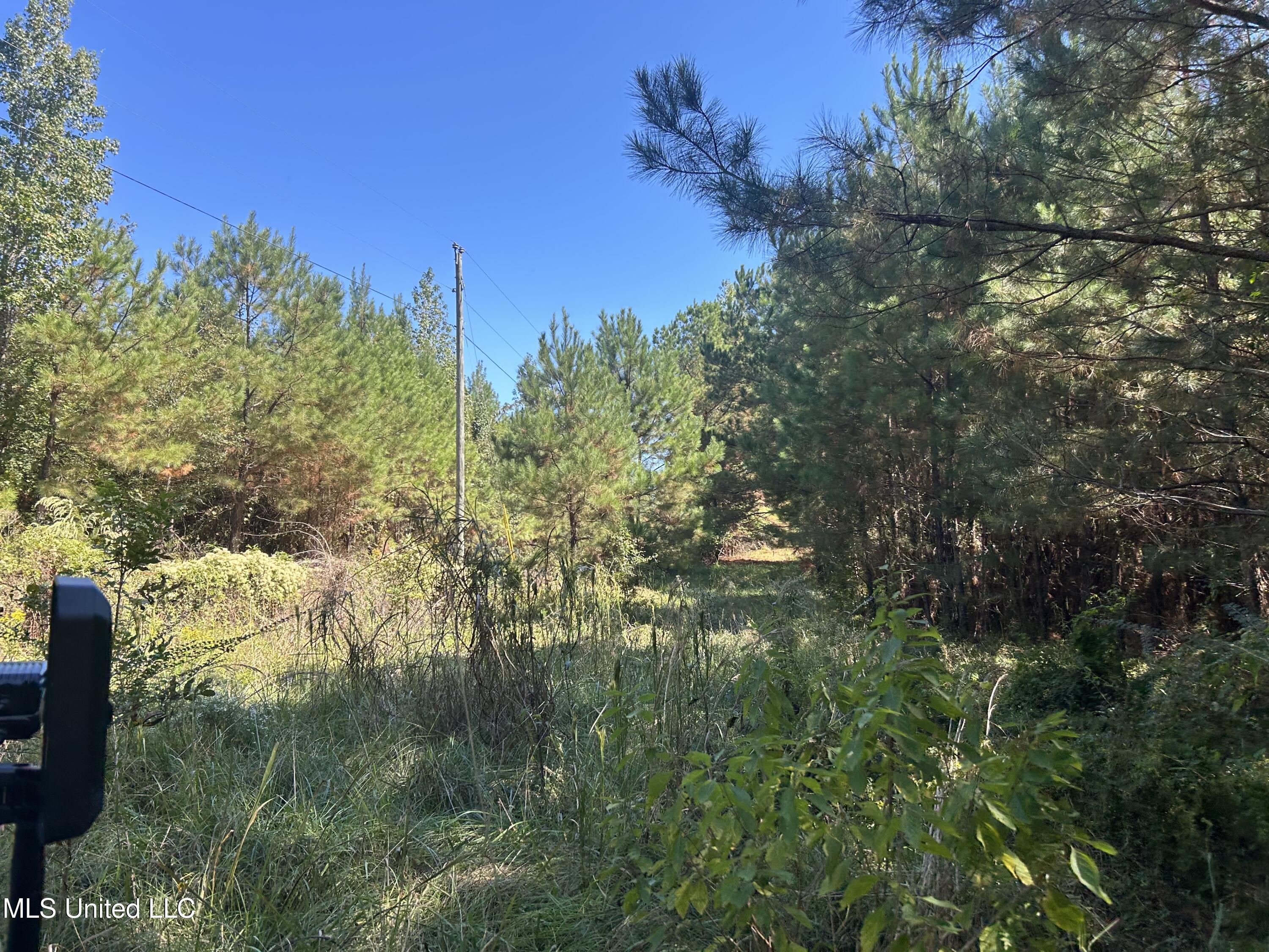 Causeyville Road Meridian, MS 39301 - Photo 11 of 17 IMG_4210