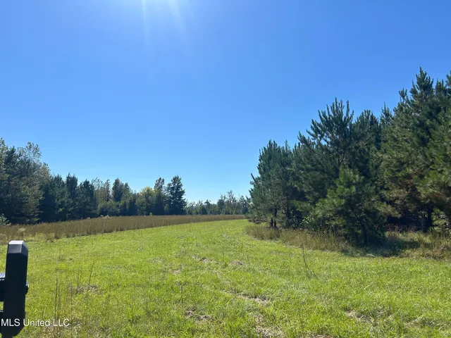 $1,328,800 | Causeyville Road, Meridian, MS 39301