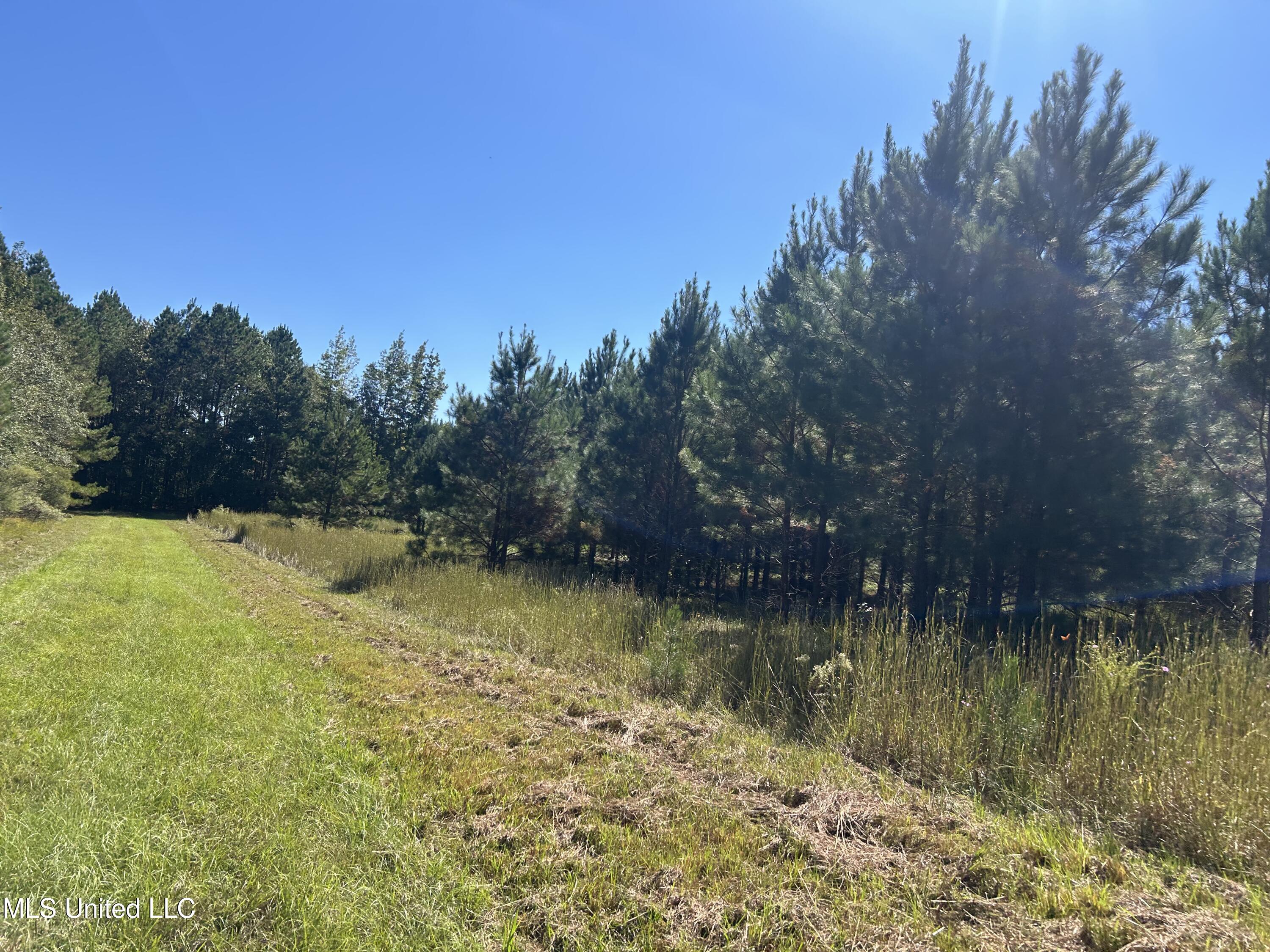 Causeyville Road Meridian, MS 39301 - Photo 13 of 17 IMG_4204