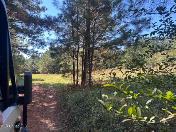 $1,328,800 | Causeyville Road, Meridian, MS 39301
