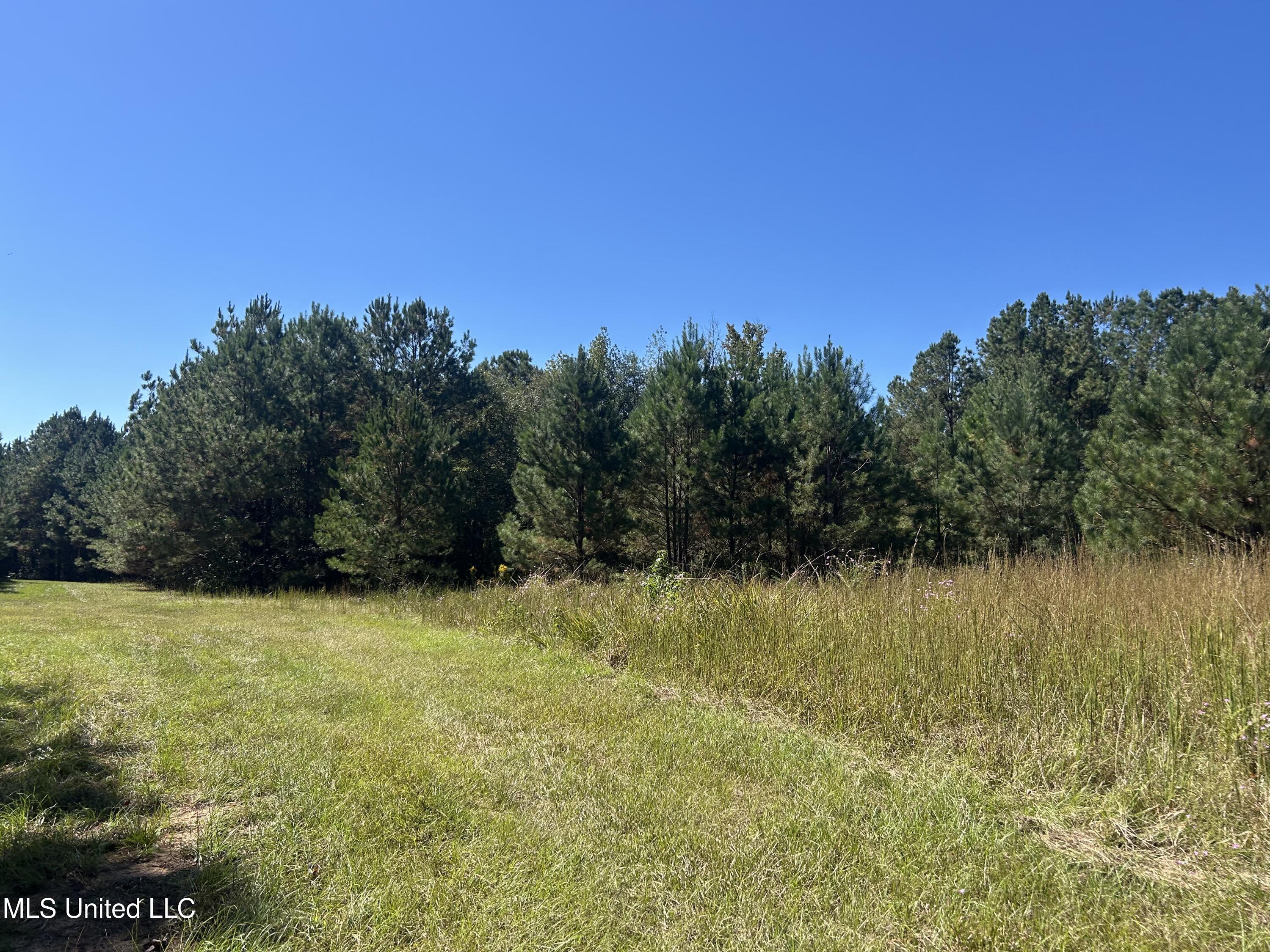 Causeyville Road Meridian, MS 39301 - Photo 15 of 17 IMG_4203